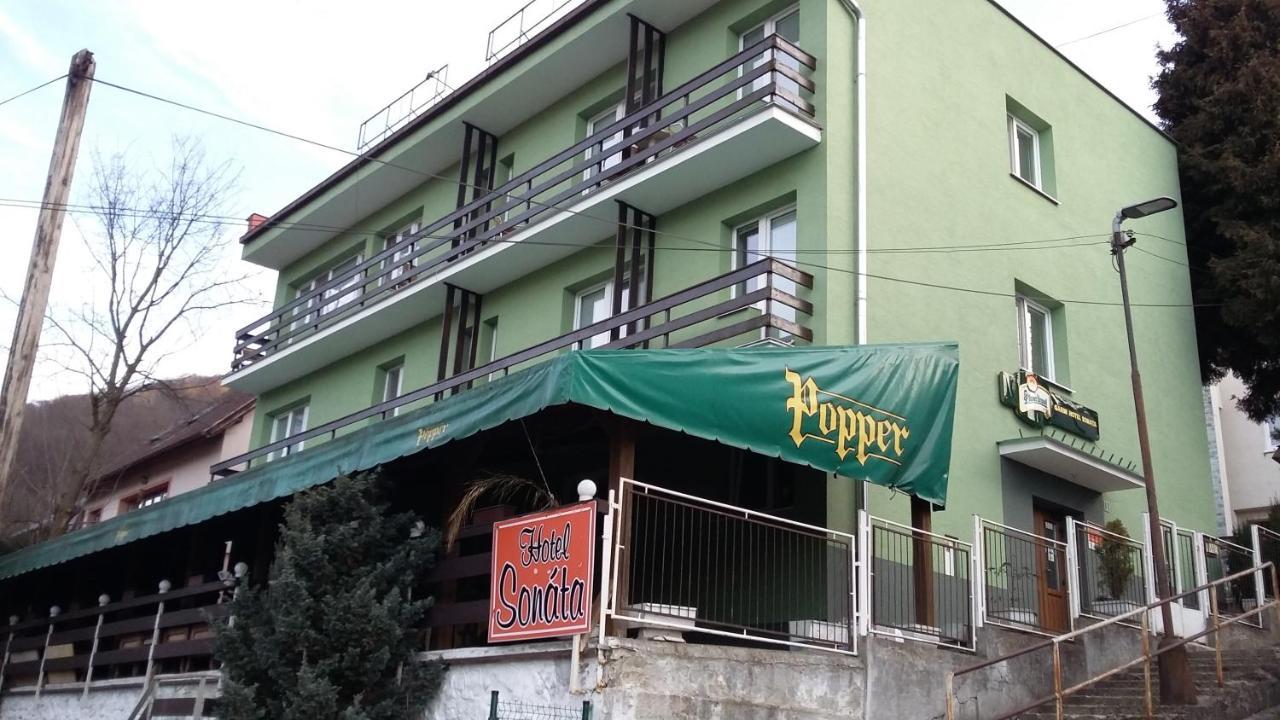 Garni Hotel Sonata 特伦钦温泉区 外观 照片